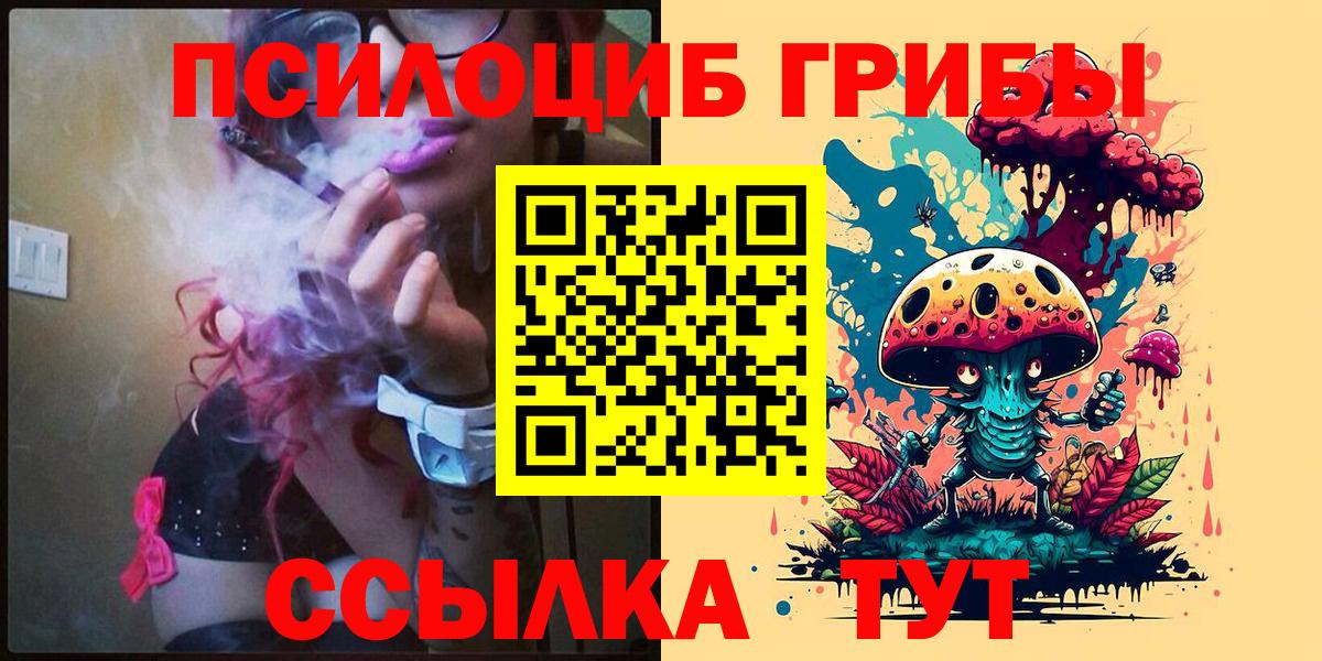Псилоцибиновые грибы мицелий Новозыбков